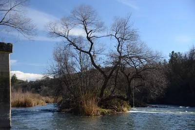 DSC_1092 (Large).JPG